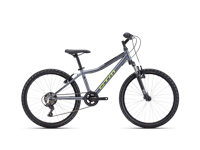 CTM BERRY 2026 9036 11613 main