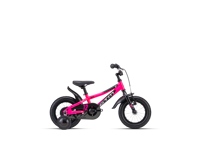 CTM BILLY 2025 6133 8911 main CTM BILLY 2025 6133 8911 main