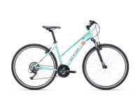 CTM BORA 1 0 2024 6060  main