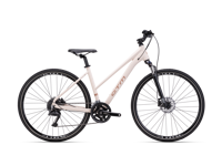 CTM BORA 1 0 2026 8985 main