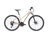 CTM BORA 2 0 2025 6058 8786 main