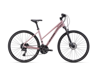 CTM BORA 2 0 2026 8984 main CTM BORA 2 0 2026 8984 main