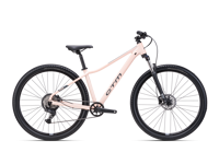 CTM CHARISMA 2 0 2025 6055 8781 main