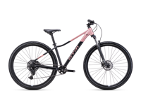 CTM CHARISMA 3 0 2025 6054  main