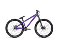 CTM DIRTKING Xpert 2025 6047  main