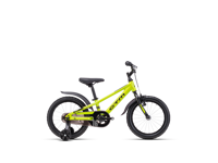 CTM FOXY 2025 6127 8899 main