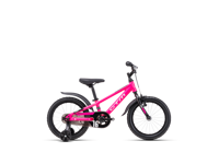 CTM FOXY 2025 6127  main