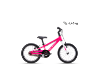 CTM FOXY 2026 9048 11646 main