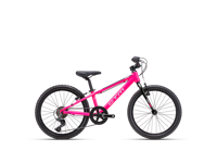 CTM JERRY 1 0 2025 6119  main