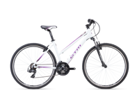 CTM MAXIMA 1 0 2023 6069  main