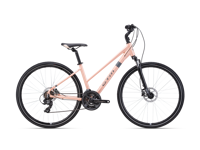 CTM MAXIMA 1 0 2026 8987 main