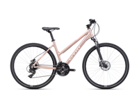 CTM MAXIMA 3 0 2025 6061  main