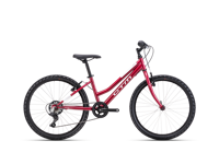 CTM MONY 2025 6116 8876 main