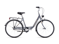 CTM OLIVIA 3 0 2025 6094  main