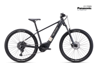 CTM PULZE GX Xpert 2025 6013  main