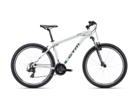 CTM REIN 1 0 2023 6045  main