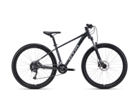 CTM REIN 2 0 2026 8975 11514 main