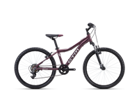 CTM ROCKY 2 0 2024 6112  main