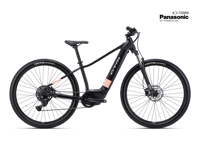 CTM RUBY GX 2025 6020 8727 main