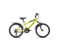 CTM SCOOBY 2 0 2025 6123  main