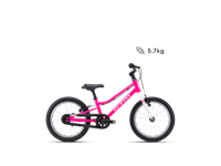 CTM SLY 16 2026 9047 11643 main