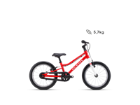 CTM SLY 16 2026 9047 main