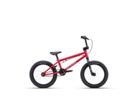 CTM SPRIG 2024 6102 8849 main