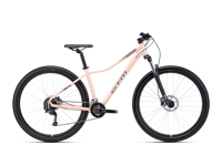 CTM SUZZY 2 0 2026 8982 main CTM SUZZY 2 0 2026 8982 main