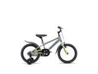 CTM TOMMY 2025 6132  main