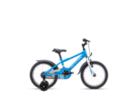 CTM TOMMY 2026 9051 11656 main