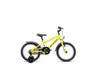 CTM TOMMY 2026 9051 11657 main