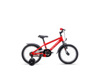 CTM TOMMY 2026 9051 main