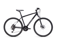 CTM TRANZ 2025 6079 8817 main