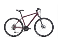 CTM TRANZ 3 0 2024 6081  main