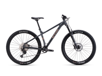 CTM ZEPHYR Limited 2026 8962 main