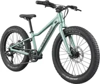 Cannondale Kids Trail Plus 20 2026 9441 411 m1