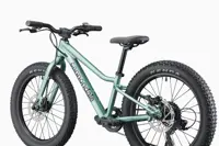 Cannondale Kids Trail Plus 20 2026 9441 411 m5