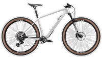 Canyon 2025 FULL exceed cf 9 axs 4216 M160 P01