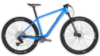 Canyon 2025 FULL exceed cf 9 3989 M160 P03