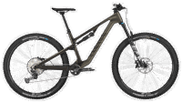 Canyon 2025 FULL neuron cf 7 4005 M119 P09