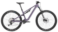 Canyon 2025 FULL neuron cf 7 4005 M119 P10