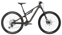 Canyon 2025 FULL neuron cf 7 4228 M119 P09