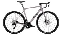 Canyon 2026 FULL endurace cf 7 di2 ltd 4376 R076 P10