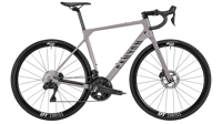 Canyon 2026 FULL endurace cf 8 di2 4363 R076 P10