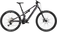 Canyon full 2024 3541 neuron on fly cf 7 M166 P01 P5