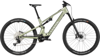 Canyon full 2024 3541 neuron on fly cf 7 M166 P02 P5
