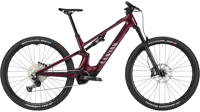 Canyon full 2024 3541 neuron on fly cf 7 M166 P03 P5