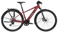 Canyon full 2024 3609 pathlite on 6 sl midstep P04 P5
