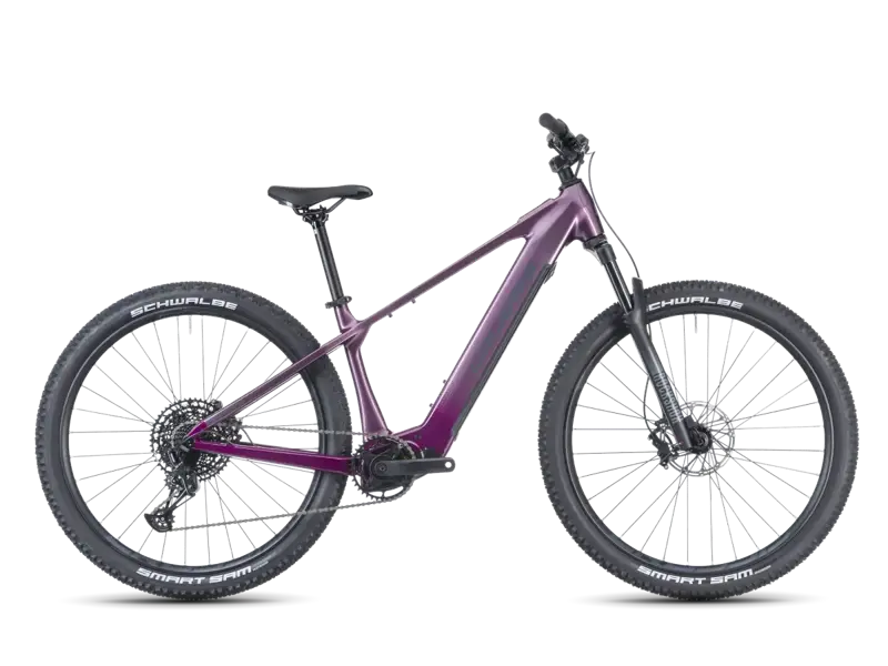 Crussis e-Fionna AX 9.12-M2S(800)