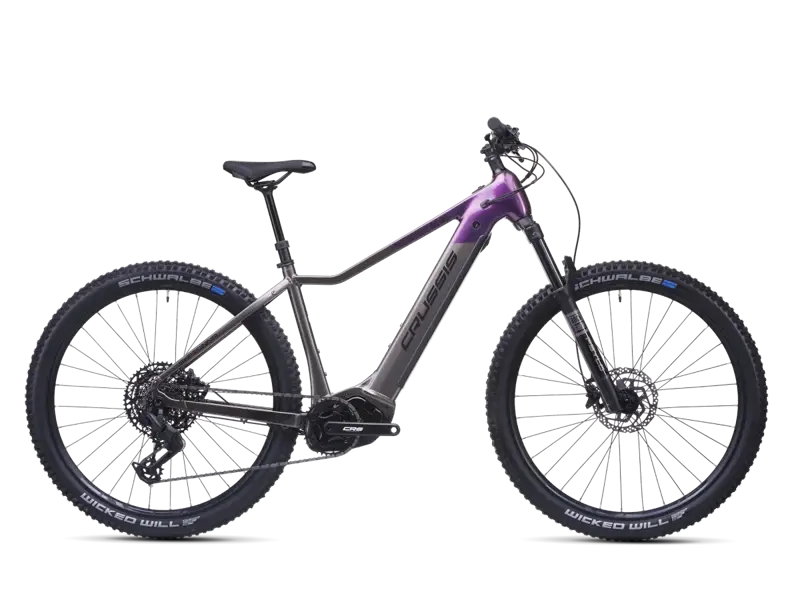 Crussis e-Fionna 10.11-(894 Wh)